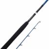 Savage Gear SGS2 Shore Jigging  2.90m  20-80 gr Kamış resmi